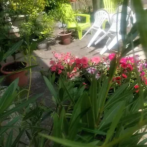 La Maison D'odette Hébergement de vacances